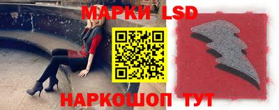 прущие грибы Ачхой-Мартан