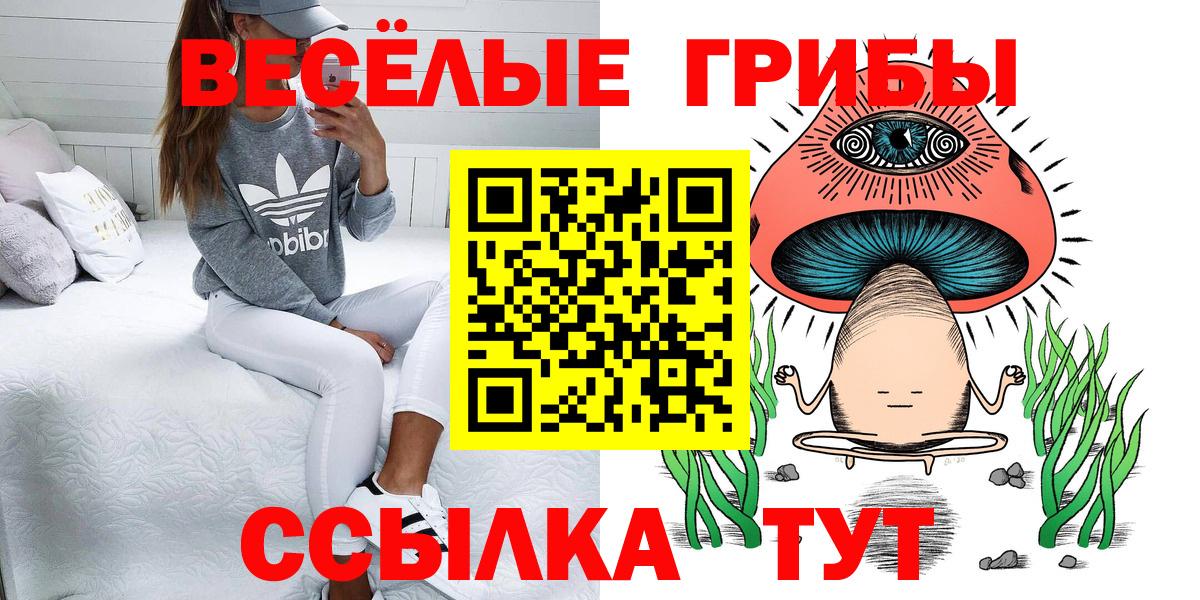 где купить наркоту  Псилоцибиновые грибы мицелий  Вход с VPN  Бахчисарай 
